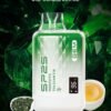 SP2S GEM 9000 PUFFS 拋棄式電子煙 一次性霧化桿