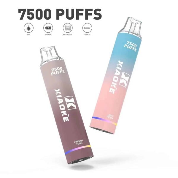 6-1.jpg XIAOKE 7500 PUFFS 梟客棄式抛電子煙 一次性霧化桿