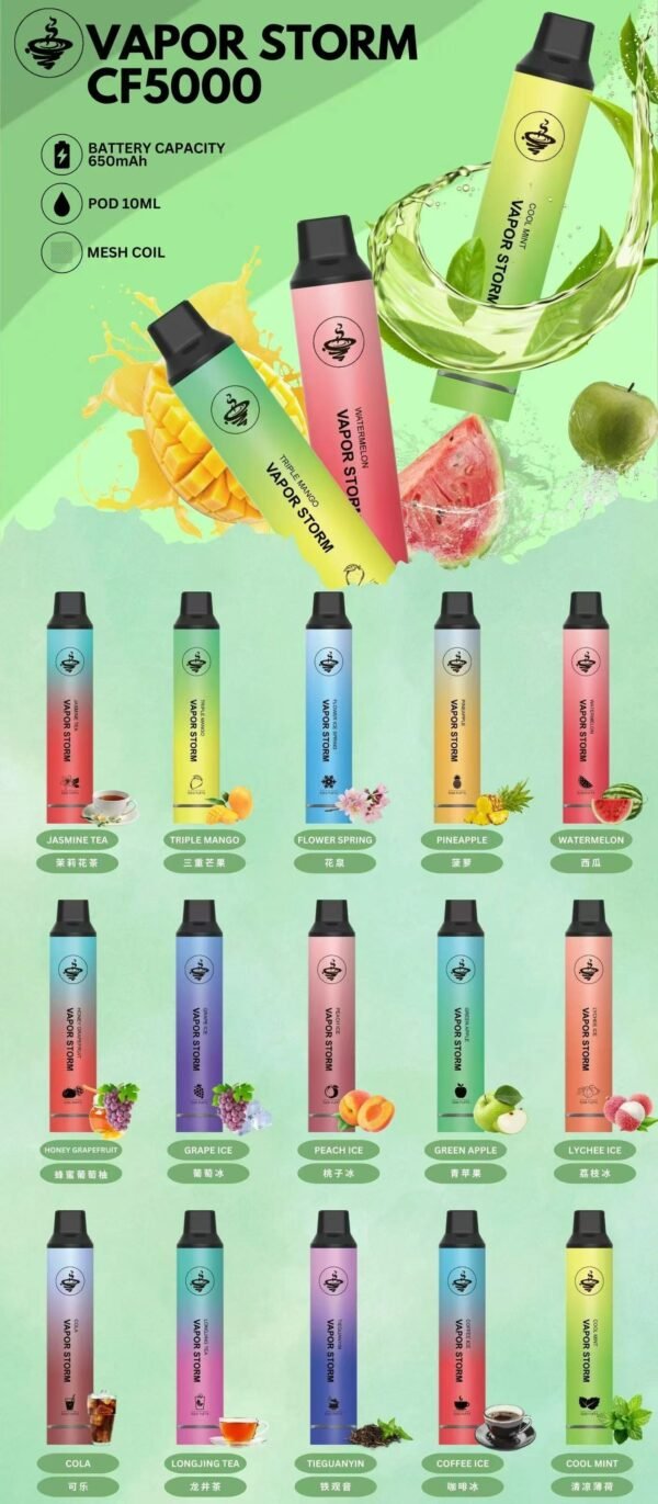 VAPOR STORM 風暴 5000口一次性抛棄式電子煙發光款