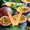 Chill 8800-2 始祖鸟CHILL 8800 Puffs 一次性抛弃式电子烟